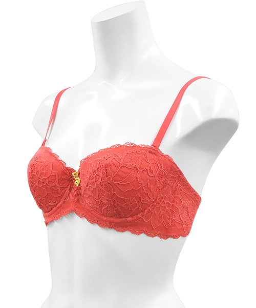 ANNEBRA(アンブラ)の「Casablanca 1/2はぎカップブラジャー(ブラジャー・レディース・ベージュ/レッド・B70/C70/D70/B75/C75/D75/E70/E75/F70/F75/E80/C80/D80/G70/G75)」の4枚目の写真