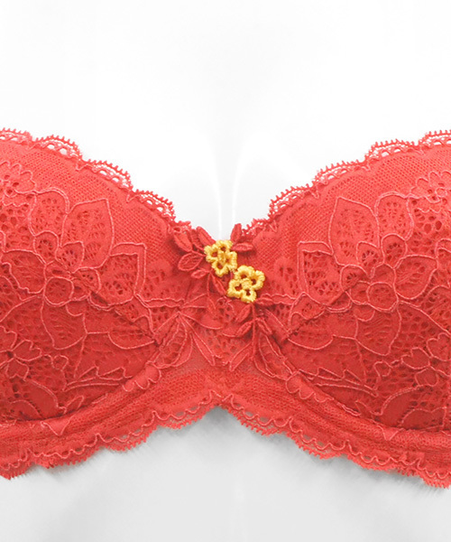 ANNEBRA(アンブラ)の「Casablanca 1/2はぎカップブラジャー(ブラジャー・レディース・ベージュ/レッド・B70/C70/D70/B75/C75/D75/E70/E75/F70/F75/E80/C80/D80/G70/G75)」の10枚目の写真