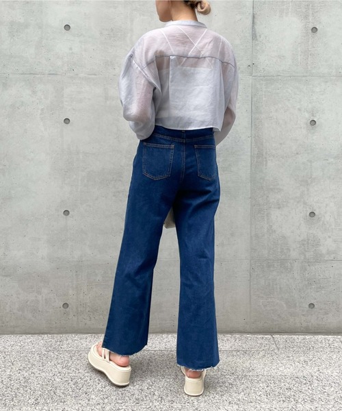 archives（アルシーヴ）の「ショートシアーシャツ/（シャツ/ブラウス・レディース・ブラック/オフホワイト/オレンジ/シルバーグレー/アイボリー・MEDIUM）」の10枚目の写真