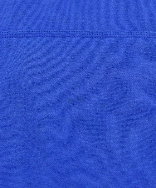 Champion(チャンピオン)の「【ヴィンテージ古着】Champion / チャンピオン ロゴ刺繍 スウェットパーカー(パーカー・メンズ・ブルー・MEDIUM)」の11枚目の写真