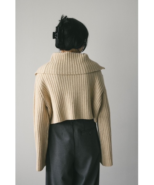 STYLEMIXER(スタイルミキサー)の「ビッグカラージップショートニット(ニット/セーター・レディース・ブラウン/ブルー/アイボリー・FREE)」の8枚目の写真