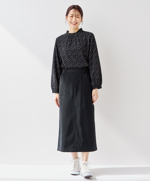 Petit Honfleur（プチオンフルール）の「フリル衿ドットプルオーバー（Tシャツ/カットソー・レディース・ネイビー/ブラック/アイボリー・M/L）」の14枚目の写真