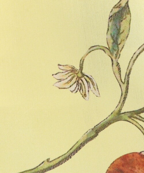 caban（キャバン）の「シルク Green Showerプリント フレアスカート（スカート・レディース・ホワイト系その他/ライトブルー/ブラウン系その他/イエロー系その他/ブラック系その他・XS/S）」の13枚目の写真