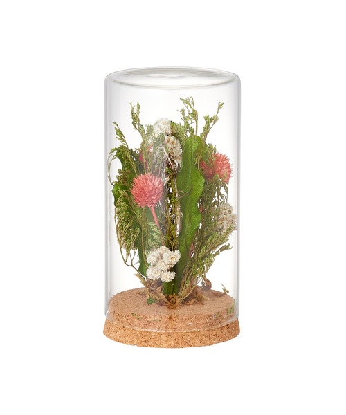 ボトル ドライフラワー ミックス レッド グリーン インテリア雑貨 Francfranc フランフラン のファッション通販 Zozotown