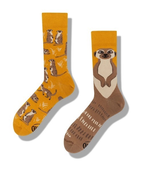 go slow caravan(ゴースローキャラバン)の「MANY MORNINGS/メニーモーニングス Regular Socks(ソックス/靴下・メンズ・ライトブラウン/タイガーカモ/ダークブラウン/ダークグリーン/マルーン/ブルー/ブラック/ホワイト系その他/その他1/ボルドー/イエロー/その他/マスタード/キャメル/オレンジ系その他/ライトブルー/ブラウン/グレー/チェック/ダークパープル/イエロー系その他/ブルー系その他/サーモンピンク/グリーン系その他/ミント/ライトピンク/ホワイト系その他2/モカ/グリーン/グリーン系/ダークオレンジ/ブルー系/ベージュ系その他/ライトグレー/コーラルピンク・MEDIUM/SMALL/LARGE)」の8枚目の写真