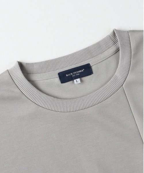 BACK NUMBER(バックナンバー)の「BACK NUMBER(バックナンバー)【メンズ】TRPU同色切替ロングスリーブTシャツ(Tシャツ/カットソー・メンズ・ライトベージュ/ブルー/グレー・M/L/XL)」の5枚目の写真