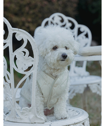 HOLAREST（オラ レスト）の「Puppy Flower Quilting Cotton Vest (Beige)（ペットウェア）」
