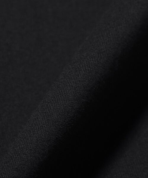 LACOSTE(ラコステ)の「【別注】LACOSTE / バッジ Tシャツ(Tシャツ/カットソー・メンズ・ブラック/ピンク/ホワイト/ネイビー・5/4/3/2/1)」の14枚目の写真