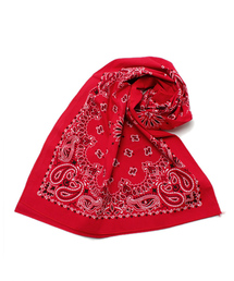 BEAMS BOY | CAROLINA / バンダナスカーフ(バンダナ/スカーフ)