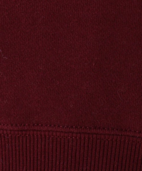 Champion(チャンピオン)の「Champion ワッペンロゴクルーネックプルオーバー(スウェット・レディース・ナチュラル/ボルドー・02)」の3枚目の写真
