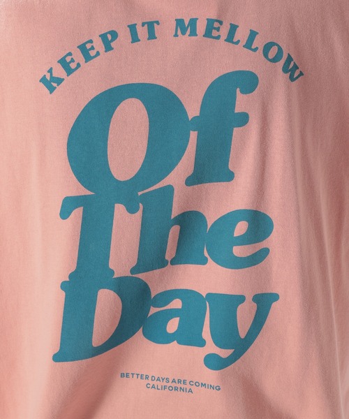 BAYFLOW(ベイフロー)の「グラフィックTEE L/S(Tシャツ/カットソー・メンズ・オフホワイト/ピンク/イエロー・LARGE/MEDIUM/SMALL)」の22枚目の写真