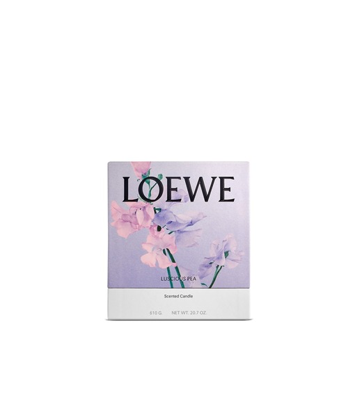 LOEWE ロエベ　Luscious Pea ラシャスピー アロマキャンドル LOEWE - Loewe ロエベ キャンドル ラシャスピー 新品未使用 170g