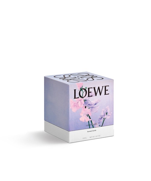 Loewe ロエベ キャンドル ラシャスピー 新品未使用 170g