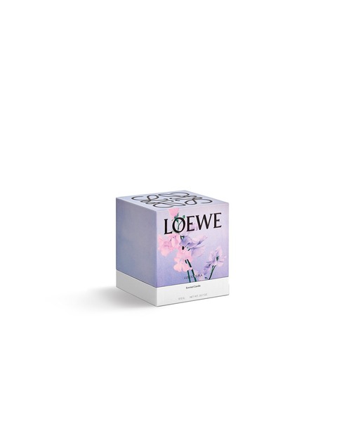 Loewe ロエベ キャンドル ラシャスピー 新品未使用 170g