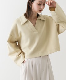 SENSE OF PLACE by URBAN RESEARCH | ワイドスリーブエリツキクロップドトップ(Tシャツ/カットソー)