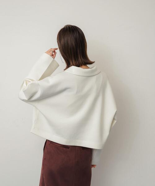 SENSE OF PLACE by URBAN RESEARCH(センスオブプレイスバイアーバンリサーチ)の「ワイドスリーブエリツキクロップドトップ(Tシャツ/カットソー・レディース・ベージュ/ブラック/アイボリー・ONE)」の5枚目の写真