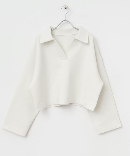 SENSE OF PLACE by URBAN RESEARCH(センスオブプレイスバイアーバンリサーチ)の「ワイドスリーブエリツキクロップドトップ(Tシャツ/カットソー・レディース・ベージュ/ブラック/アイボリー・ONE)」の8枚目の写真