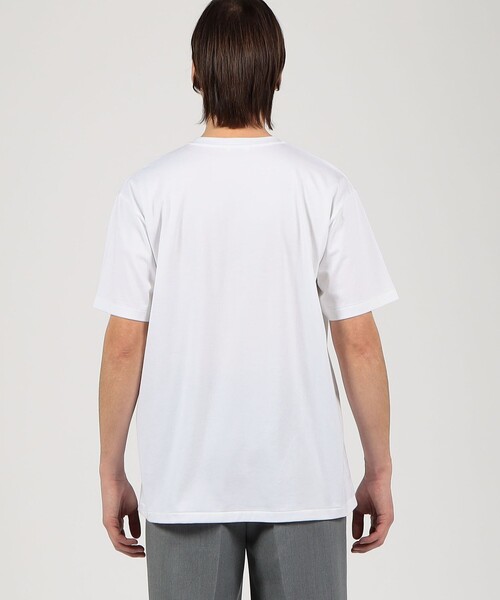 tシャツ ピマコットン ハーフスリーブトップス レディース ピマコットン ハーフスリーブトップス （Tシャツ