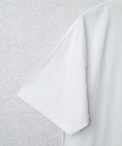 INNOCENT(イノセント)の「【PaCoMa/パコマ】Styraco saurus TEE (ADULT) スティラコサウルス Tシャツ 大人用(Tシャツ/カットソー・メンズ・スミクロ/サックスブルー/オフホワイト/ライトグレー・MEDIUM/LARGE/X-LARGE)」の19枚目の写真