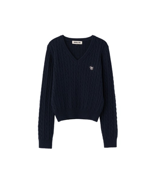 GENERAL IDEA（ジェネラルアイデア）の「wool cable v-neck pullover ウールVネックケーブルニットプルオーバー（ニット/セーター・レディース・ブラウン/グレー/ブラック/ネイビー・M/S/L）」の19枚目の写真
