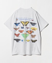 【別注】＜ATLAS SCREEN PRINTING＞LEPIDOPTERA プリント Tシャツ