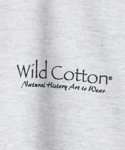 BEAUTY&YOUTH UNITED ARROWS（ビューティーアンドユースユナイテッドアローズ）の「【別注】＜ATLAS SCREEN PRINTING＞LEPIDOPTERA プリント Tシャツ（Tシャツ/カットソー・メンズ・グレー系・M/L）」の5枚目の写真