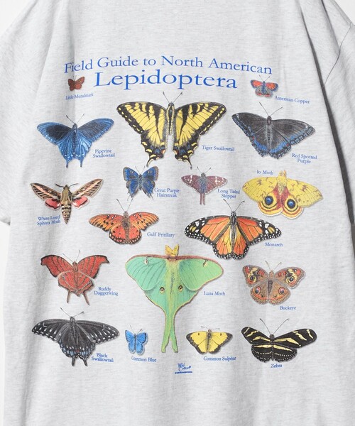 BEAUTY&YOUTH UNITED ARROWS（ビューティーアンドユースユナイテッドアローズ）の「【別注】＜ATLAS SCREEN PRINTING＞LEPIDOPTERA プリント Tシャツ（Tシャツ/カットソー・メンズ・グレー系・M/L）」の6枚目の写真