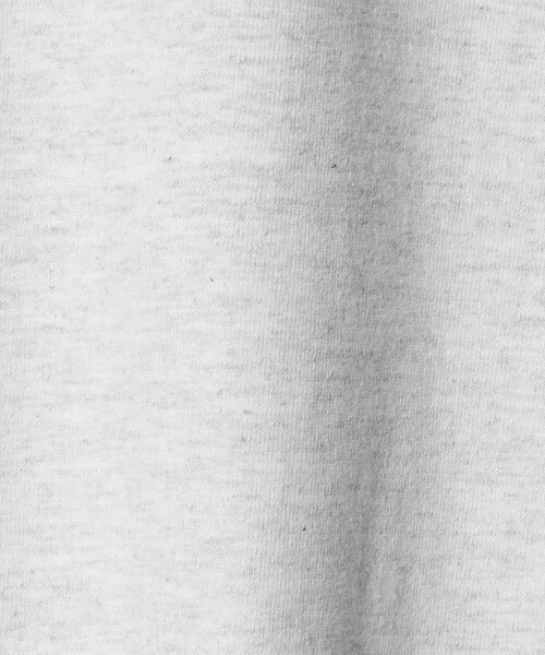 BEAUTY&YOUTH UNITED ARROWS（ビューティーアンドユースユナイテッドアローズ）の「【別注】＜ATLAS SCREEN PRINTING＞LEPIDOPTERA プリント Tシャツ（Tシャツ/カットソー・メンズ・グレー系・M/L）」の7枚目の写真