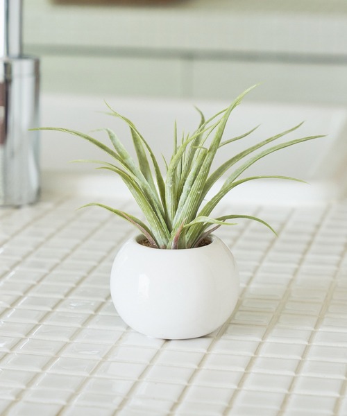 ミニ観葉植物 フェイクグリーン ラウンドポット インテリア雑貨 Ciaopanic Typy チャオパニックティピー のファッション通販 Zozotown