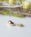 Port�i�|�[�g�j�́u���C�h �~�j �C���[�J�t2set�i�C���[�J�t�j�v�b�S�[���h