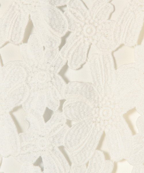 CAROLINA GLASER（カロリナ グレイサー）の「CAROLINA GLASER / レースショート トップス（その他トップス・レディース・ブラック/クリーム・ONE SIZE）」の3枚目の写真