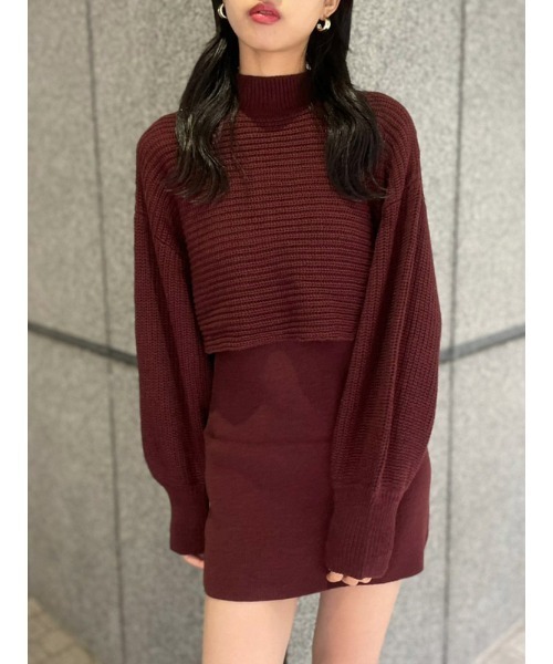 ENVYM（アンビー）の「ニットレイヤードＯＰ（ワンピース・レディース・ボルドー/ベージュ/ブラック・FREE）」の3枚目の写真