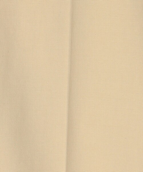 DES PRES（デ・プレ）の「プレーンコットンストレッチ シガレットパンツ（スラックス・レディース・ブラック/ライトベージュ/チャコールグレー・36/32/34）」の14枚目の写真