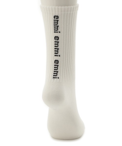 emmi（エミ）の「【10th】emmiロゴコットンリブソックス（ソックス/靴下・レディース・ミント/レッド/ホワイト/ブルー/グレー・FREE）」の2枚目の写真