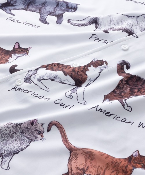 ABBEY MARKET(アビーマーケット)の「Purr Purr ルーズシルエット 猫総柄 とろみ 半袖シャツ(シャツ/ブラウス・レディース・その他1・MEDIUM)」の9枚目の写真
