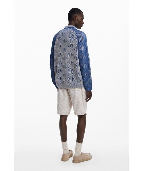 Desigual(デシグアル)の「杢調のポロセーター(ニット/セーター・メンズ・ブルー・S/M/L/XL)」の4枚目の写真
