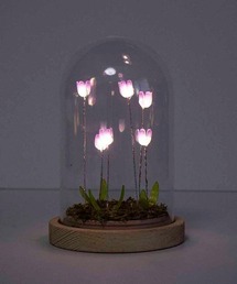 Bleu Bleuet（ブルーブルーエ）の「LUMOチューリップガラスドームS（インテリア雑貨）」