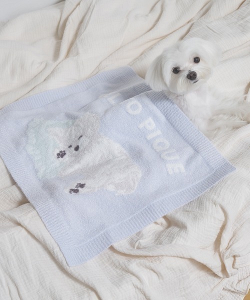 gelato pique(ジェラートピケ)の「【CAT&DOG】マルチーズ柄ブランケット(その他ペットグッズ・レディース・ブルー/ネイビー・F)」の1枚目の写真