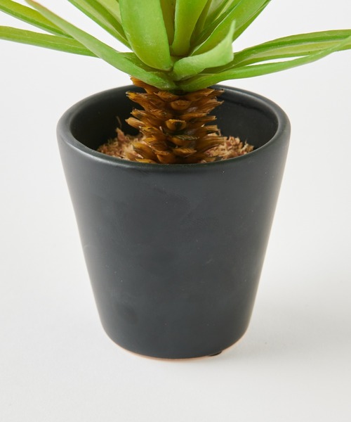 CIAOPANIC TYPY（チャオパニックティピー）の「〈ミニ観葉植物・フェイクグリーン〉ブラックポットTS（その他雑貨・レディース・グリーン/グリーン系その他・FREE）」の5枚目の写真