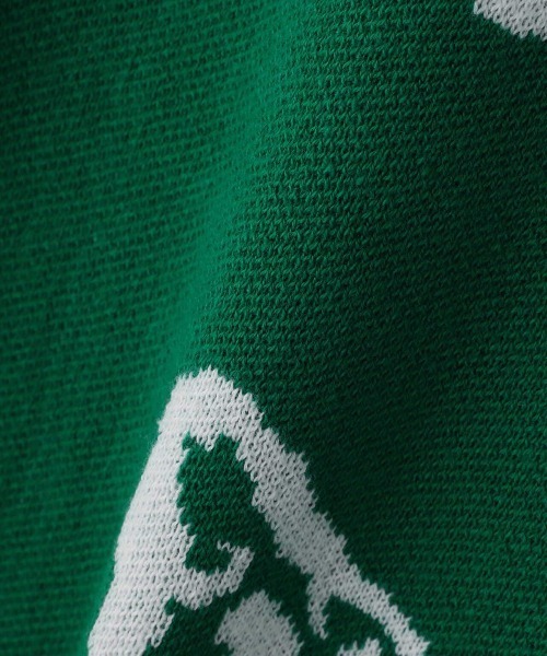 Chica（チカ）の「Chica/チカ/蝶ニットベスト（ベスト・レディース・ブラック/グリーン・F）」の22枚目の写真