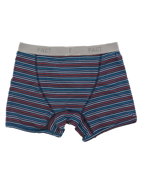 PACT(パクト)の「Men's Boxer Brief-Beach Blanket Stripe メンズ・ボクサーブリーフ(ブリーフ・メンズ・ストライプ・L/S/M)」の2枚目の写真