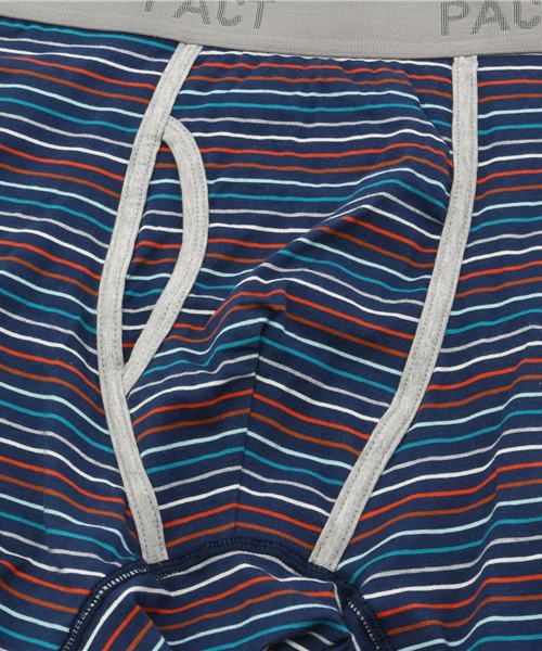 PACT(パクト)の「Men's Boxer Brief-Beach Blanket Stripe メンズ・ボクサーブリーフ(ブリーフ・メンズ・ストライプ・L/S/M)」の4枚目の写真