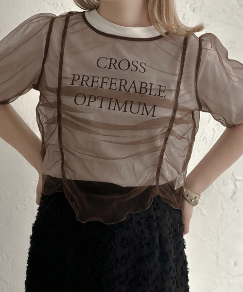 apres jour clair(アプレジュールクレア)の「【apres jour clair】チュールTシャツ【ZOZOTOWN限定アイテム】(Tシャツ/カットソー・レディース・ベージュ/グレー/ブラウン系その他・X-LARGE/フリー)」の18枚目の写真