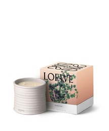 LOEWE ロエベ オレガノキャンドル LOEWE】オレガノキャンドル ギフトにも フレグランス 植物性