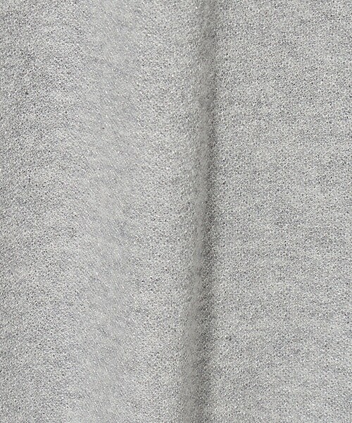 BEAUTY&YOUTH UNITED ARROWS（ビューティーアンドユースユナイテッドアローズ）の「ラメ ショートスリーブ Tシャツ（Tシャツ/カットソー・レディース・ベージュ/モカ/グレー系・FREE）」の5枚目の写真