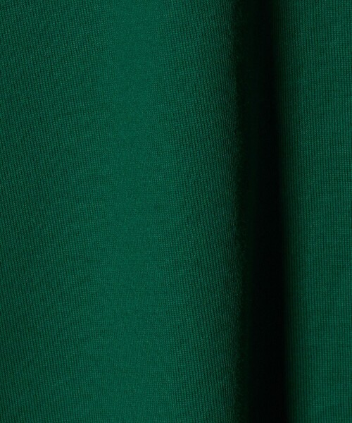 green label relaxing(グリーンレーベルリラクシング)の「ロゴ ショートスリーブ Tシャツ(Tシャツ/カットソー・レディース・オフホワイト/ブラウン系/ダークグレー/ケリーグリーン・FREE)」の7枚目の写真