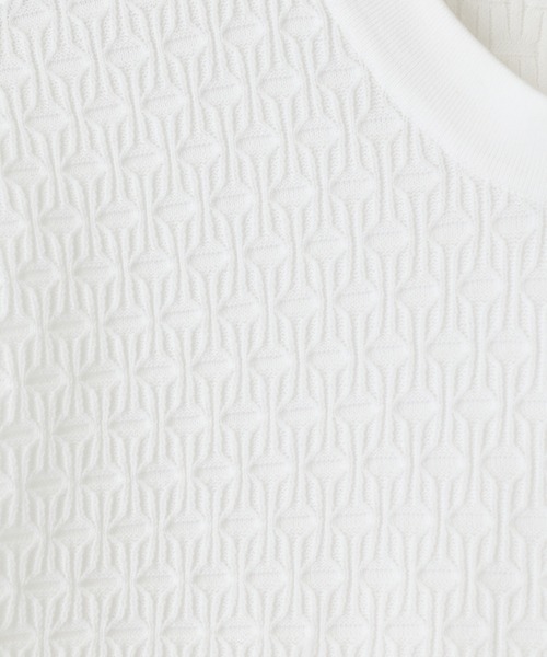 MEN'S BIGI（メンズビギ）の「【ACTIVE TAILOR】ブリスターニットジャカードＴシャツ＜通気性/速乾性＞（Tシャツ/カットソー・メンズ・ネイビー/ブラック/ホワイト/グレー・04/03/02/01）」の20枚目の写真