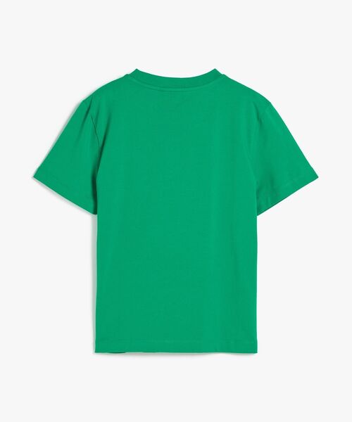TOMMY HILFIGER（トミーヒルフィガー）の「TH SCRIPT REG C-NK SS TEE（Tシャツ/カットソー・レディース・マルチ/ブルー系その他/ホワイト/グリーン・LARGE/X-SMALL/SMALL/MEDIUM）」の11枚目の写真