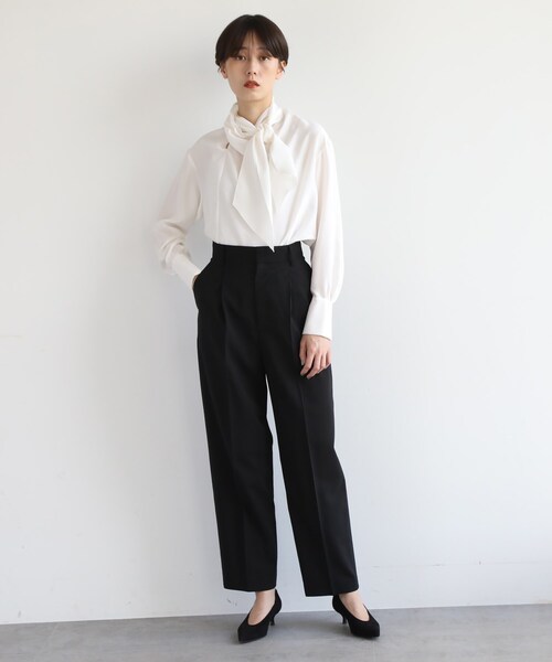 DRESSTERIOR ドレステリア 1タック ワイドテーパードトラウザーズ DRESSTERIOR（ドレステリア）の「【洗える】タックワイド