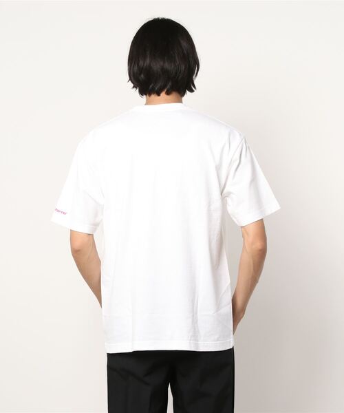 Back Channel（バックチャンネル）の「PHOTO GIRL T（Tシャツ/カットソー・メンズ・ブルー/ピンク/グリーン・XX-LARGE/LARGE/X-LARGE/MEDIUM）」の15枚目の写真